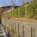 오륙도중학교 이미지