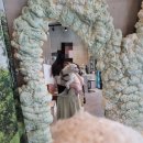 올랑시스 | [시흥 능곡] 애견동반 카페 올랑시스 내돈내산 방문후기