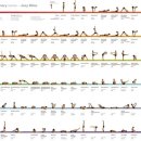 아쉬탕가 빈야사 요가 A 이미지