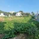 초계면사무소 이미지