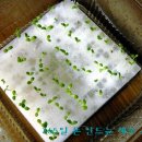 도시부엌 이미지