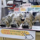 돈부리강
