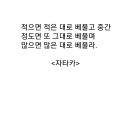 배풀고 이미지