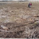 이영식농장 이미지