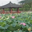 연화촌민박