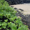 표선한의원 이미지