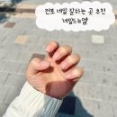 네일드뉴엘 이미지