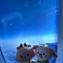 꿈이있는사과나무 | 파워볼 당첨의 꿈을 안고 떠난 미국 서부 여행기_1