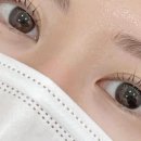 아논브로우