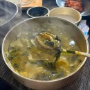 홍칼국수 | 제주 전복이 통째로들어간 보말칼국수맛집 '홍회장보말칼국수'내돈내산 후기