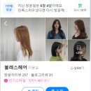 블레스헤어(blesshair)