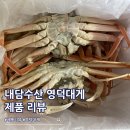 영덕 | 내담수산 자숙 영덕대게 가격 후기