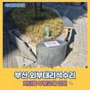 씨유 명지국제금강2차점 | 부산 외부대리석수리 화단돌 부분교체 업체