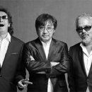 들국화 카카오 검색결과