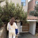 왕솔약국 이미지