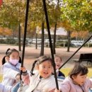 나래영재어린이집 이미지