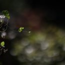 달빛한옥민박 이미지