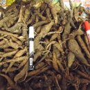 (유)정선 이미지