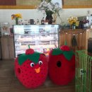 정현농장 이미지