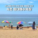 속초수상레저 | 속초 등대해수욕장 스노쿨링 후기 주차 요금 개장일 시간 총정리