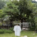 섬섬하우스 이미지