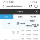 홍천비발디 스키보드렌탈+리프트권 양도합니다 이미지