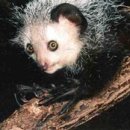 아이아이 이미지