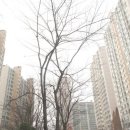 문래자이 공인중개사 이미지