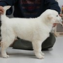 산야원 이미지