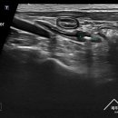 제주24시숨동물의료센터 이미지