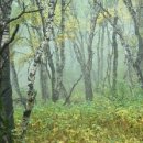 야채랑과일이랑 이미지