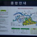 대운산 자연휴양림 캠핑장 이미지