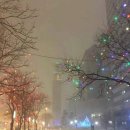 덴버(DENVER) 이미지