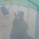 구룡어린이공원 이미지