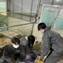 사랑이네 | 부산부전동헬스장 오케이피트니스 팀과 함께한 양산 ' 사랑이네 ' 유기견 봉사 활동 후기 🐶💕