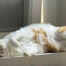 민식농장 이미지