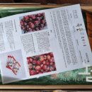 무릉외갓집영농조합법인 이미지