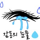 클라라아이래쉬