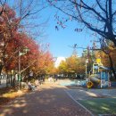 문정시영아파트(4동앞) | 서울시 송파구- 문정동(문정시영,힐스테이트e편한세상문정)에가다