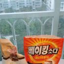 대아세탁 이미지