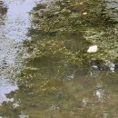 고잔농장 이미지