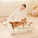 펫클라우드 이미지