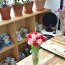 영남화훼농협 | 꽃다발 택배 생화 저렴한데 편하기까지 영남화훼농협중매인1호 주문 후기-장미꽃다듬는 방법 포함