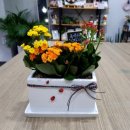 이든테라피 이미지