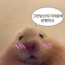 행복한가요?
