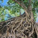 바이오농장 이미지