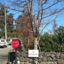 동홍동1 | 동홍동 필라테스에서 느낀 변화, 서귀포 체형 교정까지 만족한 솔직 후기