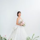 스튜디오 수집