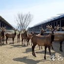 무진산업 이미지