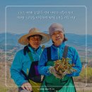 노고마주 이미지